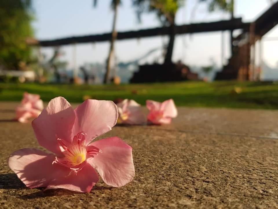 Ambadis Villas Kodungallur Bagian luar foto